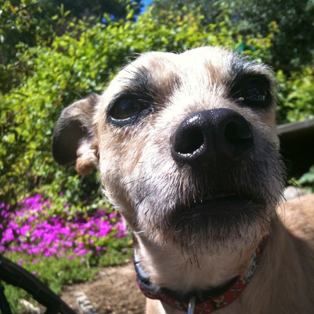 Meet your Posher, Norma